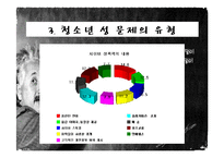 청소년 성문제, 사이버 인터넷과 청소년 성문화, 복지대안 파워포인트 PPT 프리젠테이션-12