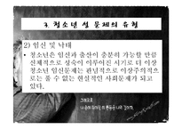 청소년 성문제, 사이버 인터넷과 청소년 성문화, 복지대안 파워포인트 PPT 프리젠테이션-13