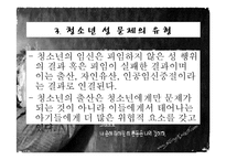 청소년 성문제, 사이버 인터넷과 청소년 성문화, 복지대안 파워포인트 PPT 프리젠테이션-14