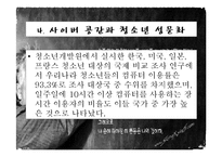 청소년 성문제, 사이버 인터넷과 청소년 성문화, 복지대안 파워포인트 PPT 프리젠테이션-15