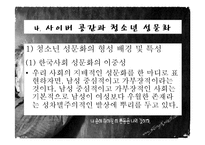 청소년 성문제, 사이버 인터넷과 청소년 성문화, 복지대안 파워포인트 PPT 프리젠테이션-16