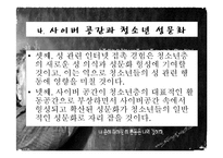 청소년 성문제, 사이버 인터넷과 청소년 성문화, 복지대안 파워포인트 PPT 프리젠테이션-19