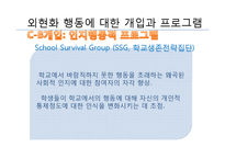 외현화 문제행동 개입방법과 프로그램, 문제해결을 위한 사회복지사의 역할 PPT 프리젠테이션-19