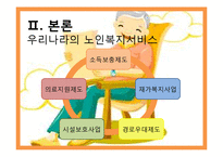 노인복지서비스정책, 소득보충제도, 의료지원제도, 재가복지사업, 시설보호사업, 경로우대제도,-6