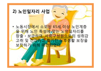노인복지서비스정책, 소득보충제도, 의료지원제도, 재가복지사업, 시설보호사업, 경로우대제도,-11