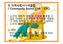 노인복지서비스정책, 소득보충제도, 의료지원제도, 재가복지사업, 시설보호사업, 경로우대제도,-13