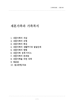 재혼가족복지(개념, 현황, 유형, 특징, 생활주기와 발달단계, 정책과 서비스, 문제점, 대책)-1
