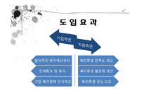 산업복지와 선택적 복지제도(등장배경, 필요성, 도입효과, 현황, 발전방안)-6