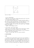 하위체계 간 경계혼란으로 결혼위기를 경험하고 있는 남성 사례개입 보고서-11