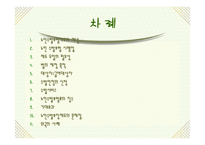 노인수발보험제도(노인장기요양보험제도) 파워포인트 PPT 프리젠테이션-2