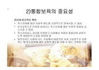 장애아동 통합보육 파워포인트 PPT 프리젠테이션-5