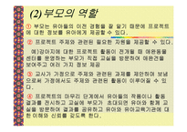 보육학 프로젝트 접근법(정의, 목적, 특징, 내용, 실태, 문제점, 사례조사, 활용) 파워포인트 PP-19
