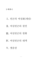 빈곤여성(빈곤의여성화개념, 원인, 현황, 대책, 맺음말) 보고서-1