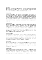[마케팅] 맥도날드의 마케팅 성공사례 분석-2