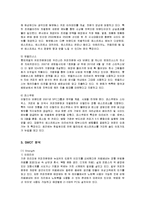[경영전략] 커피전문점 카페베네의 성공전략-7