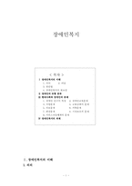 장애인복지 레포트-1
