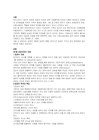 사회복지 입양사업의 문제점 및 개선 활성화 방안-1