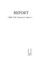 [뉴미디어] 양방향디지털TV(Interactivity Digital tv)-1