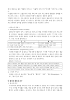 [뉴미디어] 양방향디지털TV(Interactivity Digital tv)-6