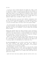 [뉴미디어] 국내 양방향TV 서비스 현황-9