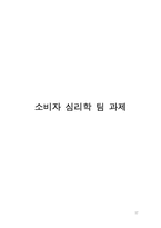 [소비자심리학] 소비자 심리학-17