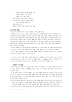 [뉴미디어론] 국내 아바타산업을 통해 살펴본 인터넷환경의 변화-10