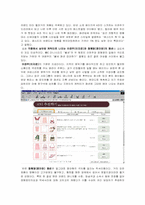 [대중문화] 드라마가 시청자반응과 대중의 소비에 미치는 영향 -불새를 사례로-8