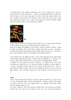 [프랑스문화] 프랑스만화분석-9