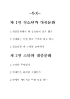 [대중문화] 스타와대중문화, 청소년과대중문화-2