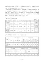 [사회복지정책론] 여성복지정책에 대한 분석-13