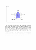 [정책분석론] 여성능력개발정책분석-여성회관과 여성인력센터의 기능적 고찰-13