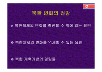 [북한정책] 북한의 대동북아 정책-6