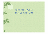북한핵문제의 쟁점과 해법 모색-1