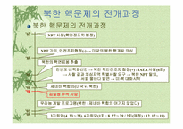 북한핵문제의 쟁점과 해법 모색-3