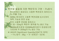 북한핵문제의 쟁점과 해법 모색-20
