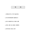 [문화]한류열풍에 관한 보고서-1