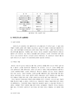 디즈니 랜드의 해외진출 사례와 마케팅전략-8