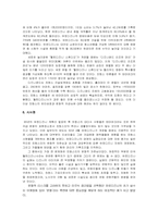 디즈니 랜드의 해외진출 사례와 마케팅전략-11