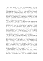 [정치학]김대중 정부에 대한 분석 및 평가-4