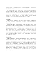 [중국현대사] 모택동분석-3
