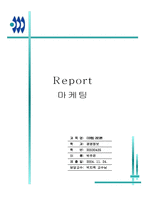 마케팅 레포트-17