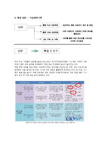[경영정보] 아모레 퍼시픽 경영정보-4