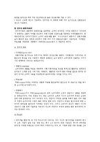 인터넷마케팅의 특징, 인터넷마케팅 전략 수립-11