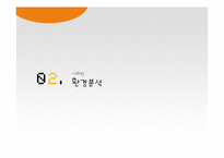 샤프란 마케팅전략-9