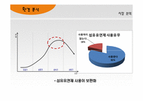 샤프란 마케팅전략-13