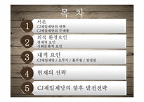 CJ제일제당 마케팅전략-2