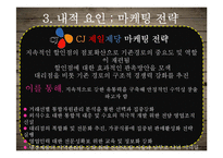CJ제일제당 마케팅전략-18
