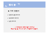 넥센타이어 NEXEN 마케팅전략-9