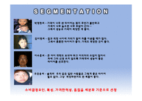 넥센타이어 NEXEN 마케팅전략-19
