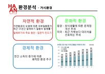 [마케팅] 한경희 생활과학 마케팅전략-13